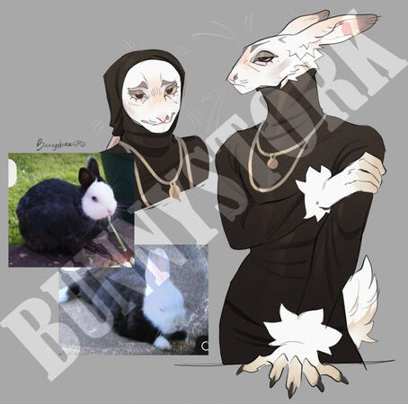 Furry oc?